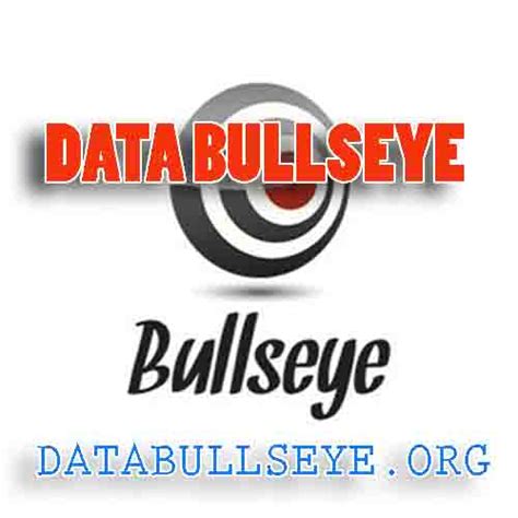 Data Bullseye .
